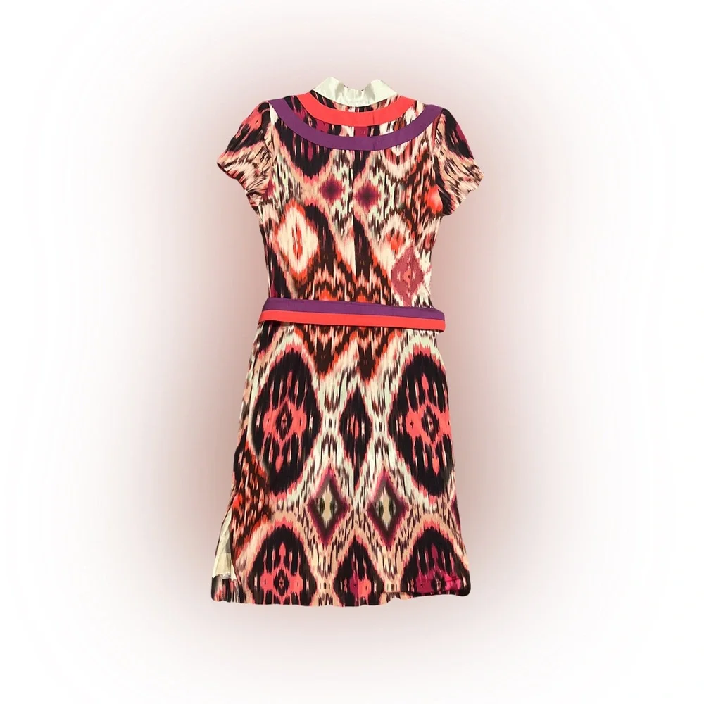 Paula Quadretti Multicolor Ikat Print Dress - Picture 2 of 2